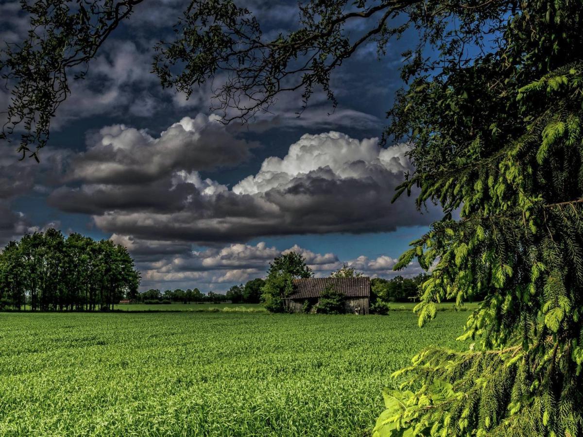 Staying In A Thatched Barn With Box Bed Beautiful View Region Achterhoek Geesteren  Esterno foto
